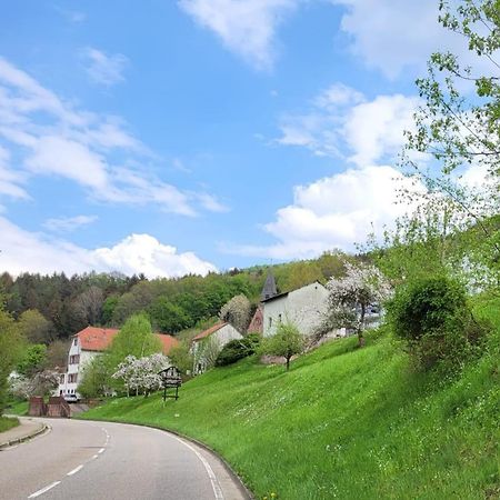 Family House Appartamento Eberbach  Esterno foto