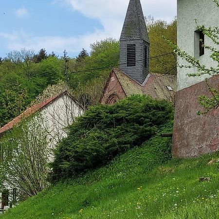 Family House Appartamento Eberbach  Esterno foto