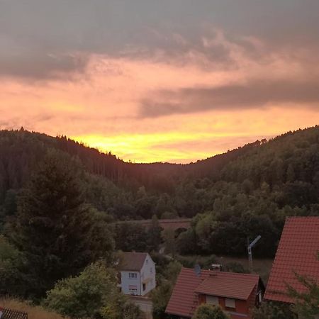 Family House Appartamento Eberbach  Esterno foto