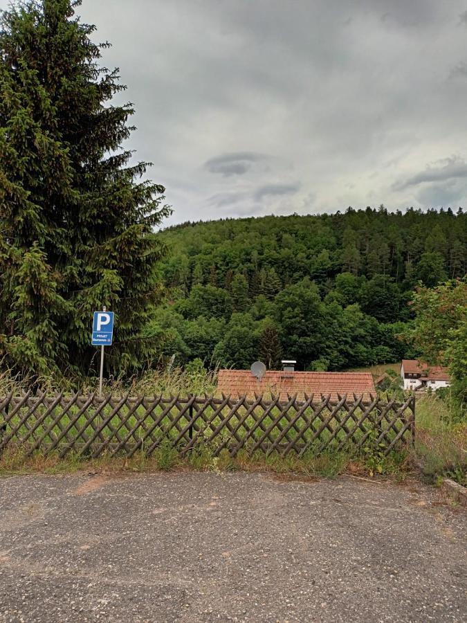 Family House Appartamento Eberbach  Esterno foto