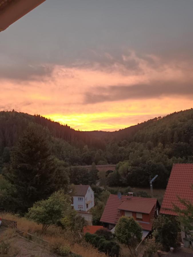 Family House Appartamento Eberbach  Esterno foto